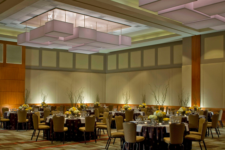 Public Area 5, Hyatt Regency McCormick Place Chicago, Cook