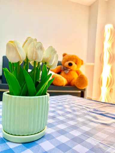 Facilities 4, Teddy House with Kids Corner at Bukit Indah Near Legoland and EcoBotanic, Johor Bahru