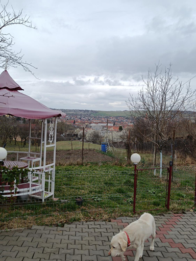 Others 5, Casa Tonyza, Cisnadie