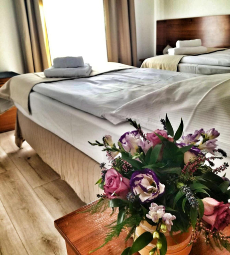 Others 5, Apartamenty Pod Lwem, Świdnica