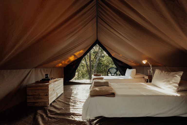 Bedroom 2, Firefly Falls, Eden