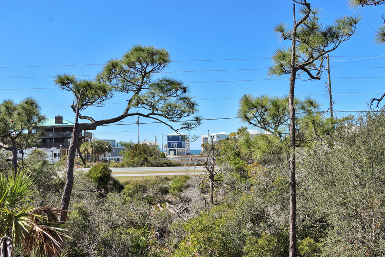 Others 5, Treetops, Gulf