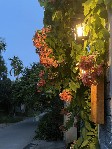 Others 5, ky uc tuoi dep homestay, Huế
