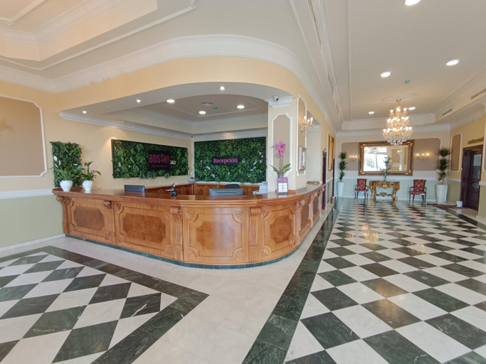 Public Area 4, Hotel Bossh Alicia, Albacete