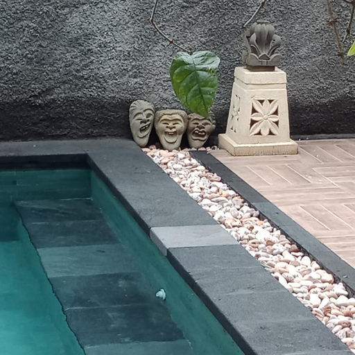 Swimming Pool 1