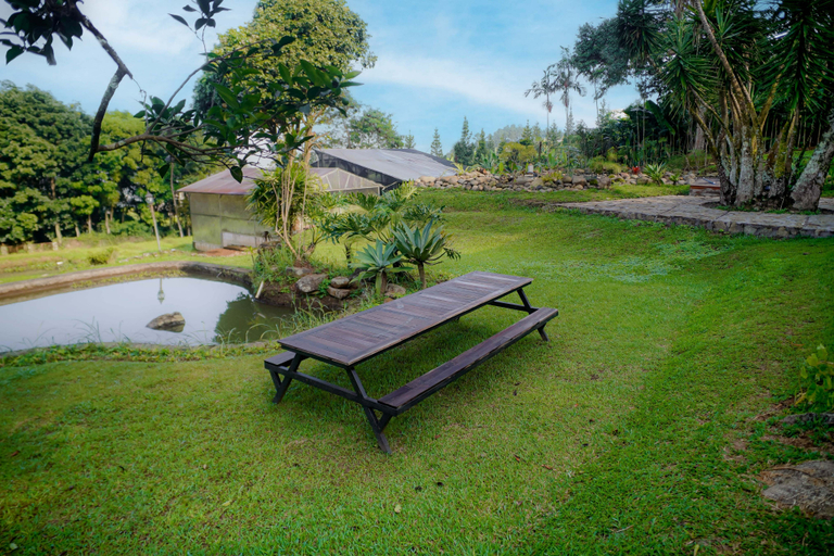Scenery 9