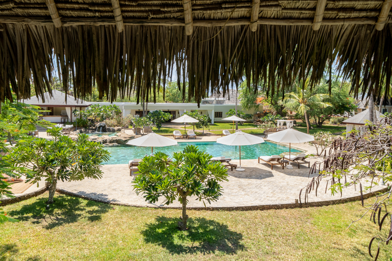 Others 4, Lion In The Sun, Malindi
