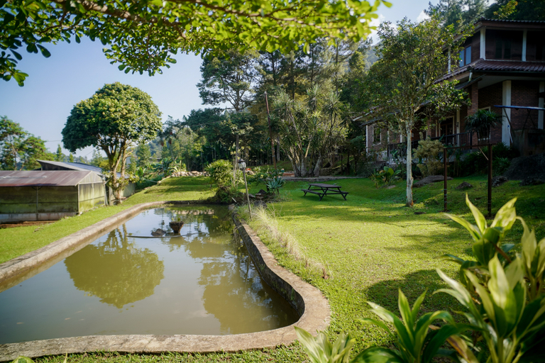 Scenery 10