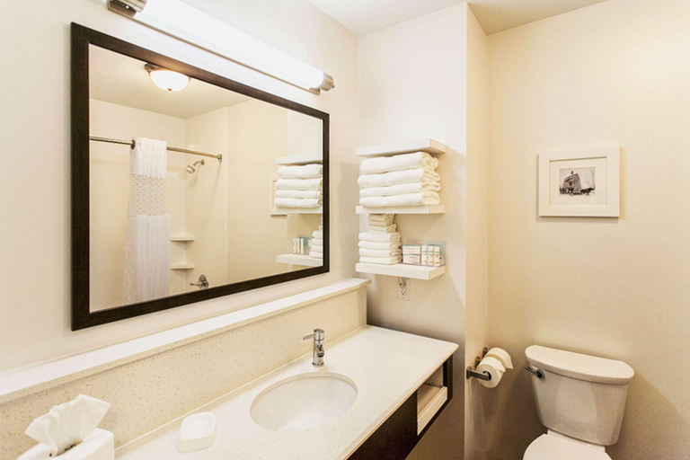 Bathroom 4, Hampton Inn Hibbing, Saint Louis