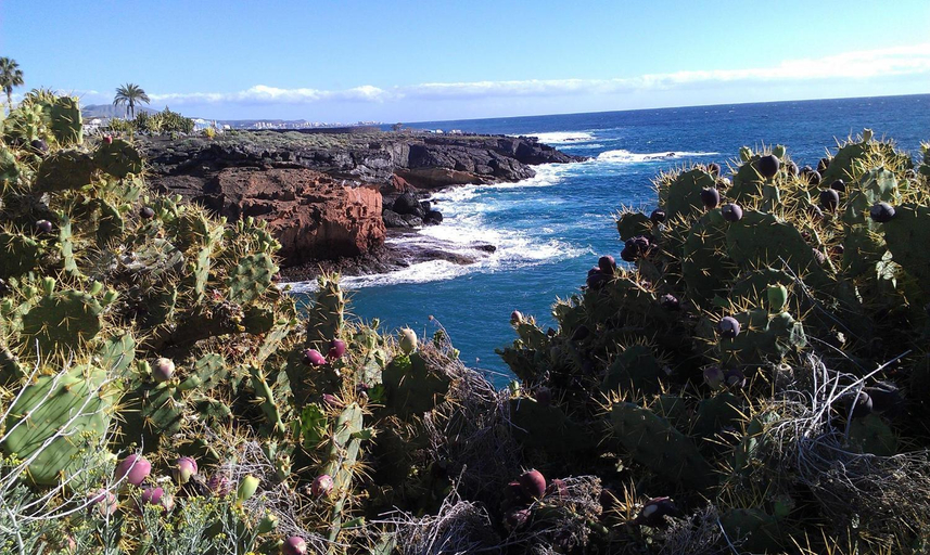 Others 4, Ocean View Studio, Santa Cruz de Tenerife