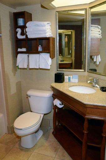 Bathroom 4, Hampton Inn Abingdon, Washington