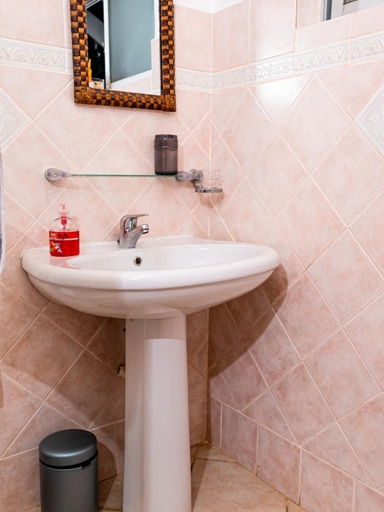 Bathroom 2, Bottle Palm Villa