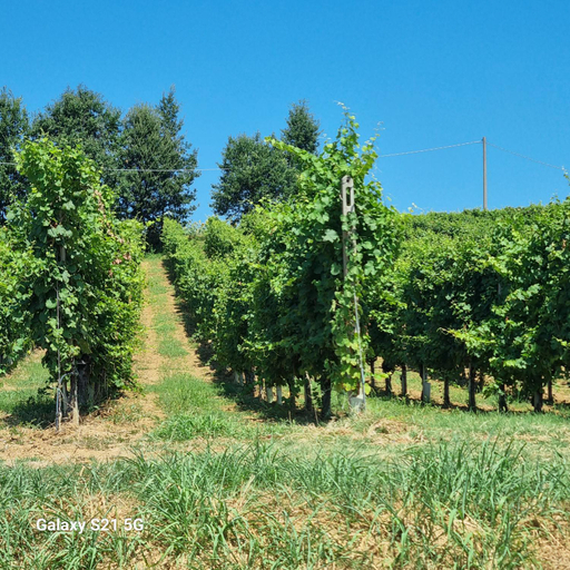 Others 4, B&b da Tommy Casa Vacanze, Piacenza