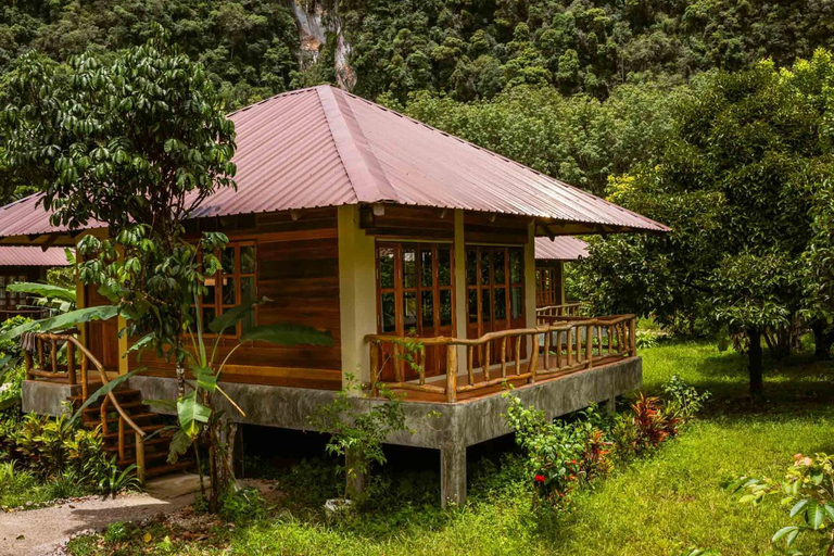 Exterior & Views 1, Monkey Mansion - Jungalows & Tours, Phanom