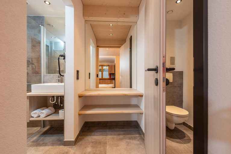 Bathroom 5, Ferienalm Schladming, Liezen