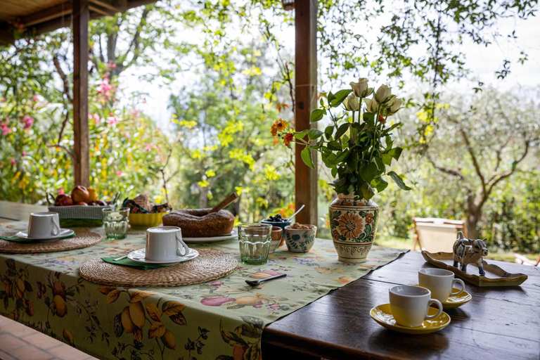 Others 3, B&B Viadelcampo, Ancona