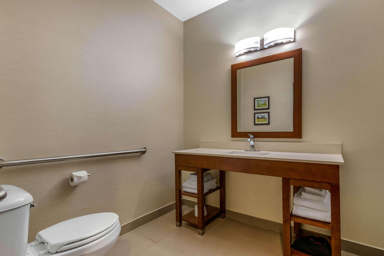 Bathroom 5, Comfort Suites Cedar Falls, Black Hawk