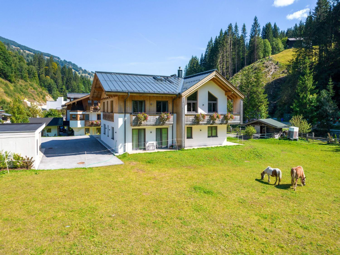 Others 4, Chalet in Saalbach near Ski Lift, Zell am See