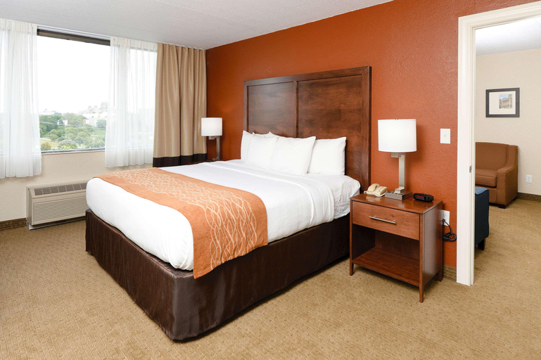 Bedroom 3, Comfort Inn & Suites Event Center, Polk