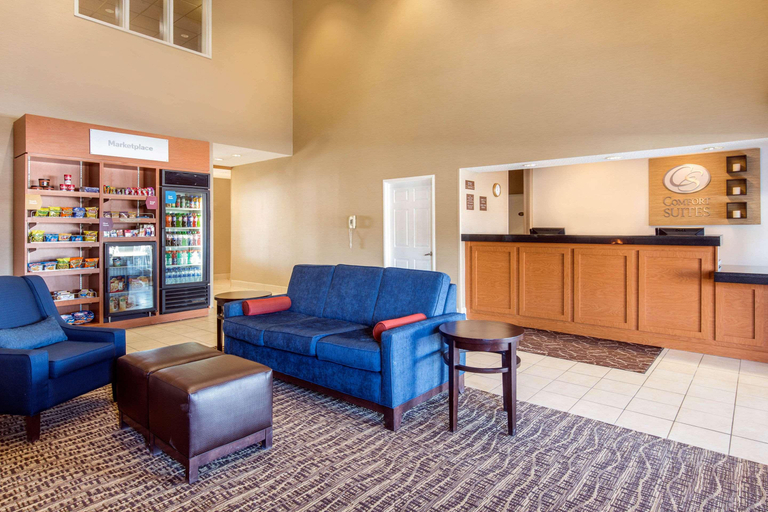 Public Area 2, Comfort Suites Normal University area, McLean
