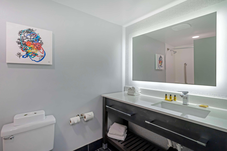Bathroom 4, BEST WESTERN Daytona Inn Seabreeze, Volusia