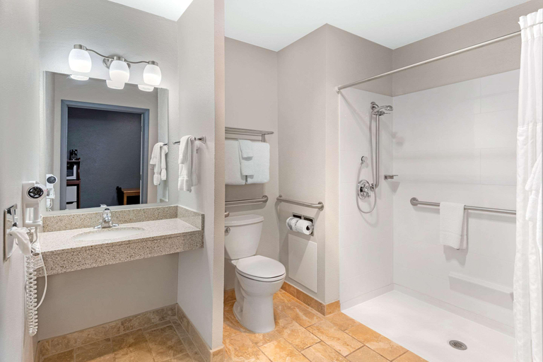 Bathroom 4, Econo Lodge Inn & Suites Socorro, Socorro