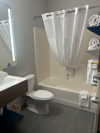 Bathroom 3, Microtel Inn & Suites by Wyndham Mansfield, Tioga