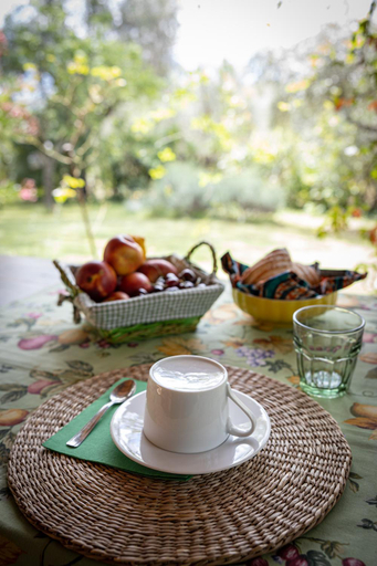 Others 5, B&B Viadelcampo, Ancona