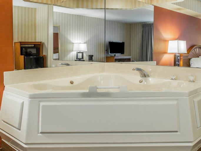 Bathroom 4, Quality Inn Gaylord Area, Otsego