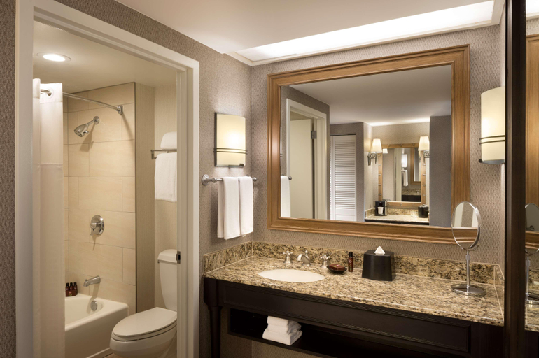 Bedroom 4, Hyatt Regency Hill Country Resort, Bexar