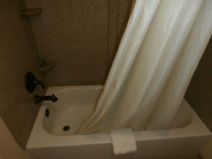 Bathroom, Econo Lodge Richmond Hill, Bryan
