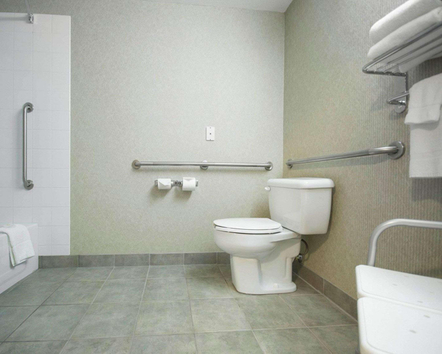 Bathroom 4, Comfort Inn & Suites, Columbia-Shuswap