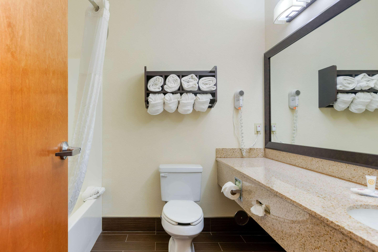 Bathroom 3, Comfort Suites Stevensville - St. Joseph, Berrien