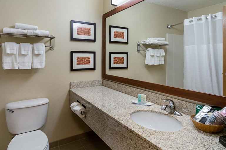 Bathroom 4, Comfort Inn Barboursville Area, Cabell
