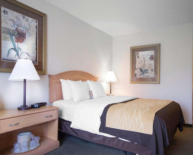 Bedroom 3, Comfort Inn & Suites, Columbia-Shuswap