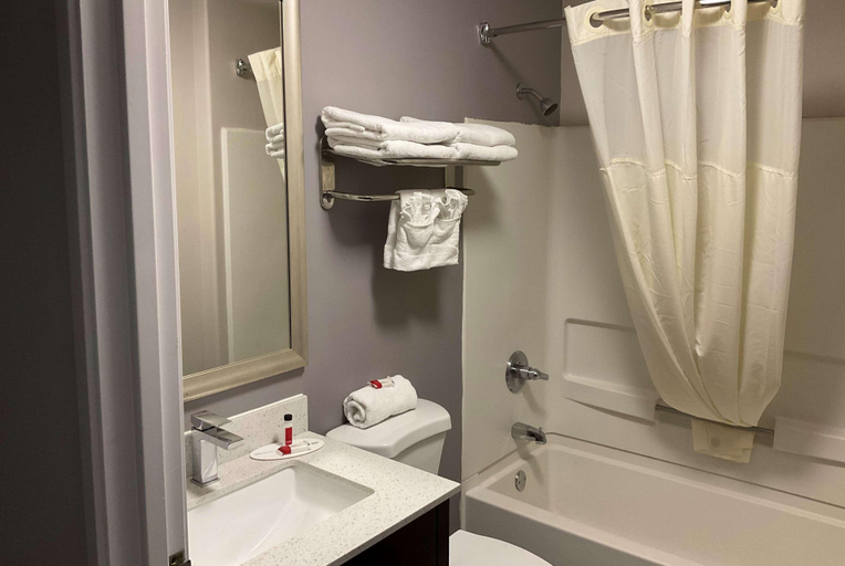 Bathroom 4, Microtel Inn & Suites By Wyndham Clarksville, Montgomery