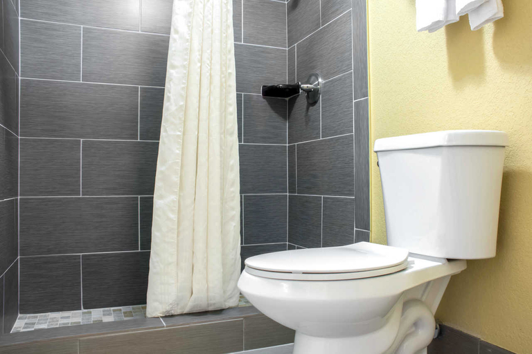Bathroom 4, Econo Lodge Bradford, Mc Kean