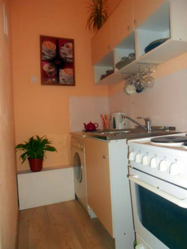 Others 5, Hotel European, Sankt-Peterburg gorsovet