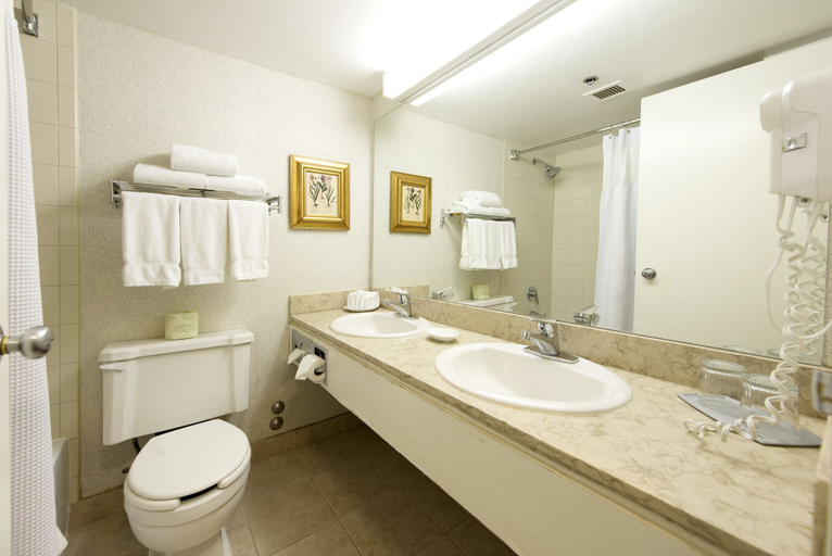 Bathroom 4, Toronto Don Valley Hotel and Suites, Toronto
