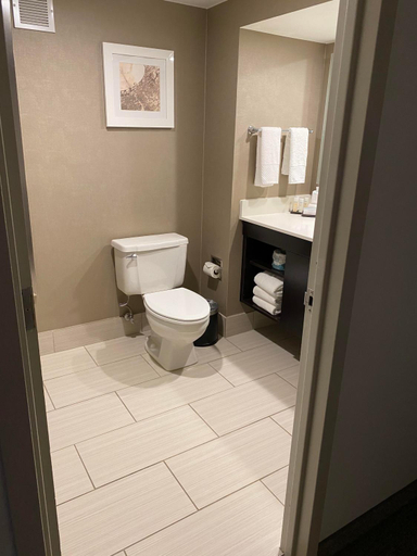 Bathroom 5, Embassy Suites by Hilton Milwaukee Brookfield, Waukesha