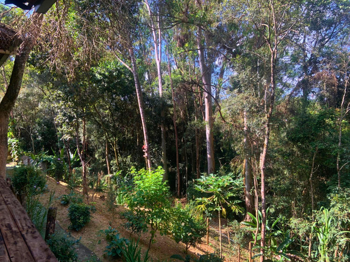 Scenery 6