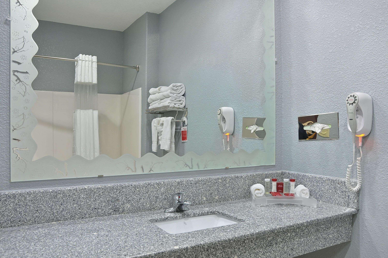 Bathroom 4, Ramada by Wyndham South Waco, McLennan