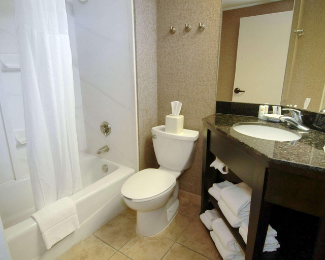 Bathroom 3, Quality Inn & Suites North Little Rock, Pulaski