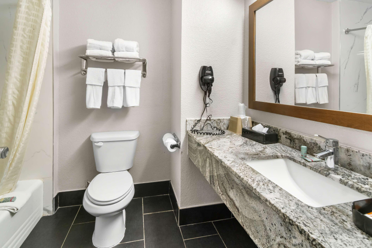 Bathroom 4, SureStay Plus by Best Western Benbrook Fort Worth, Tarrant