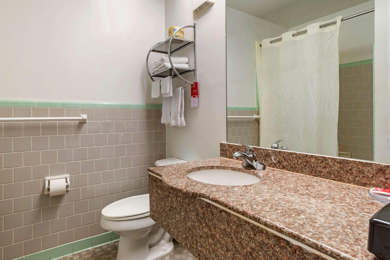 Bathroom, Econo Lodge Tallahassee Downtown - University, Leon