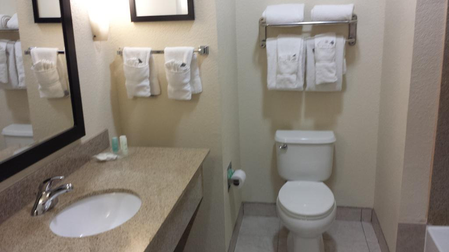 Bathroom, Comfort Suites Waycross Area, Ware