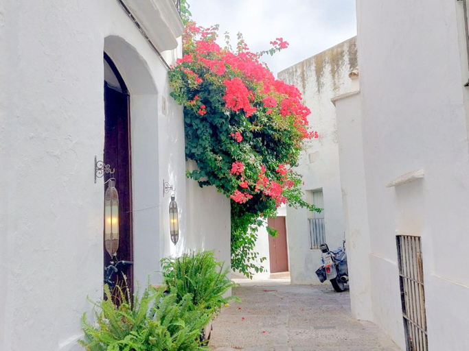 Others 5, Pura Vida - Apartment In Vejer De La Frontera, Cádiz