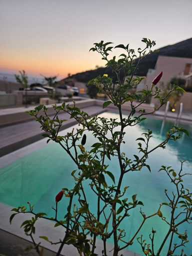 Others 4, Villa Ostriche Green Coast Palase, Vlorës