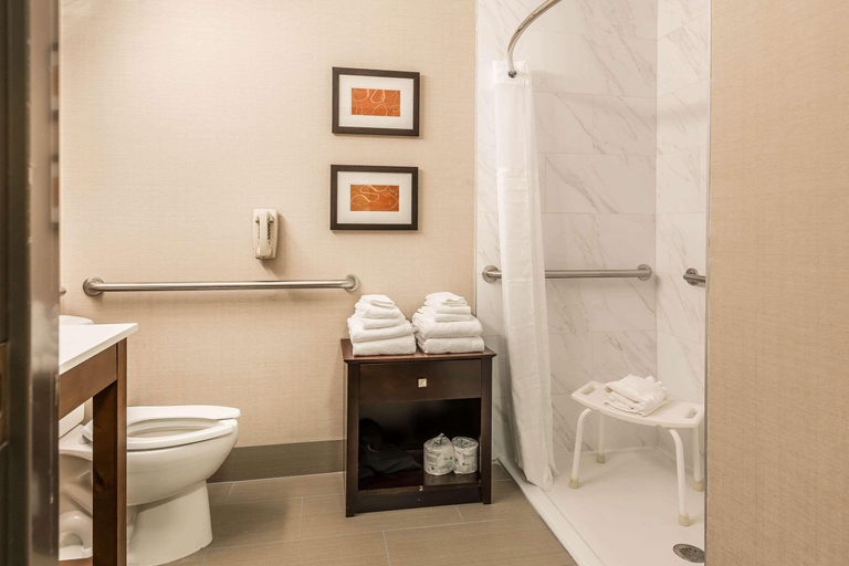 Bathroom 5, Comfort Suites Fort Wayne North, Allen
