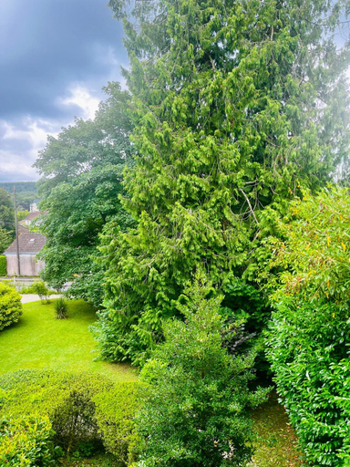View, Le Clairmont, Orne